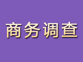 龙湾商务调查